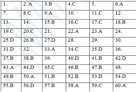 Gợi ý đáp án đề thi môn Vật lý khối A, A1 2013