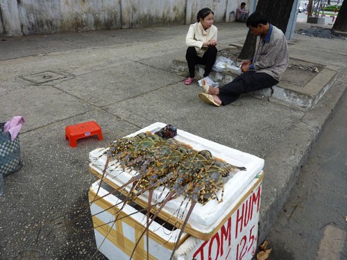 Tôm hùm, cua, ghẹ... bệnh xuống đường