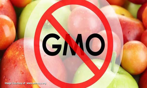 Phong trào phản đối thực phẩm GMO có đi ngược lại khoa học?