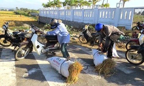 Xếp hàng, chi bạc triệu mua rơm khô