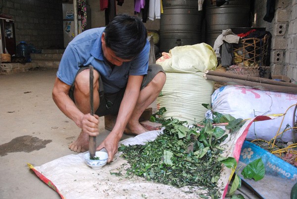 "Lê rắn" và kỳ tích hành nghề cứu sống hàng nghìn người