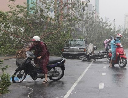 Những hình ảnh ngổn ngang từ tâm bão số 11 