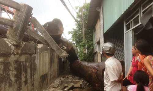 Hàng chục tấn gỗ lao xuống cầu, đè sập nhà dân