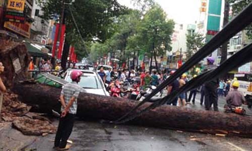 Hai người chết thảm ở Sài Gòn vì tai họa trên trời rơi xuống