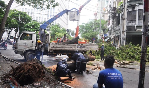 TP HCM: Mưa bão làm cây xanh ngã đổ, chập điện