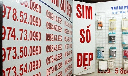 Sim “siêu đẹp” 9 con 8 sẽ được đấu giá