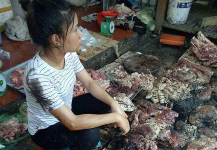 Một công ty thu mua đàn lợn của tiểu thương bị hắt chất bẩn