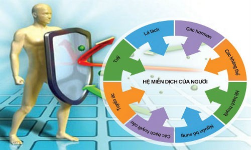 Thực phẩm chức năng miễn nhiễm… hiệu quả?