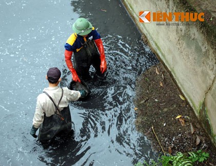 Ngụp lội trong bùn thối chống ngập lụt