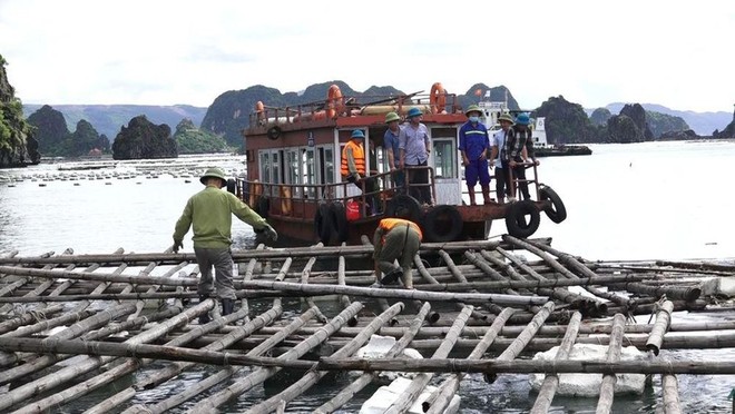 Quảng Ninh: Tạm đình chỉ công tác bốn cán bộ buông lỏng quản lý 