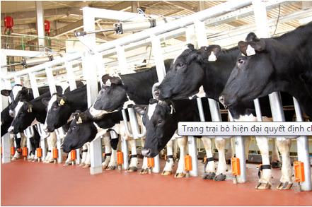 Bà chủ TH True Milk và hộp sữa tặng Tổng thống Israel