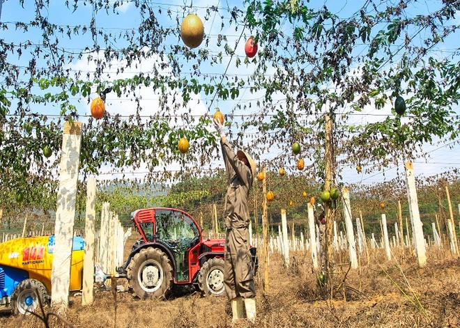 Ngân hàng Bắc Á giành giải thưởng lớn vì hoạt động xuất sắc