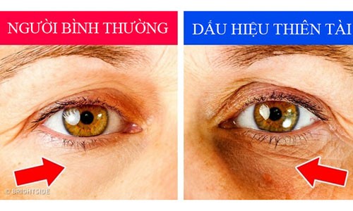 7 dấu hiệu nhận biết thiên tài cha mẹ cần đặc biệt lưu ý