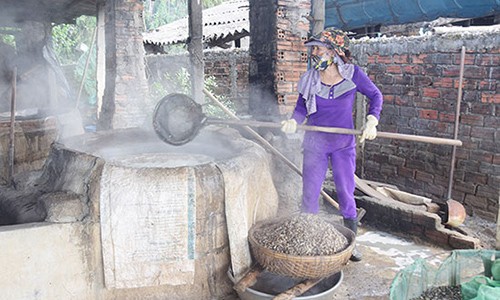 Làng nghề làm hến Tân Phú 200 năm tuổi vào mùa đi cào "lộc trời"