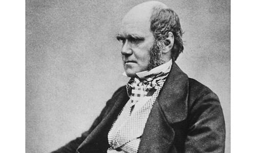 Hôn nhân bí ẩn của nhà tự nhiên học Charles Darwin