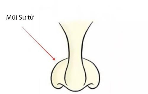 Phụ nữ sở hữu 3 tướng mũi này giàu sang, an nhàn cả đời