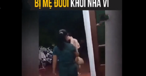 Mẹ đuổi con trai khỏi nhà vì không chịu đi "tán gái"