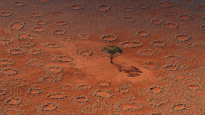 Giải mã bí ẩn về những “vòng tròn cổ tích” kỳ lạ ở Namibia