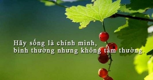 Hãy cứ là chính mình dũng cảm đối mặt với sóng to gió lớn