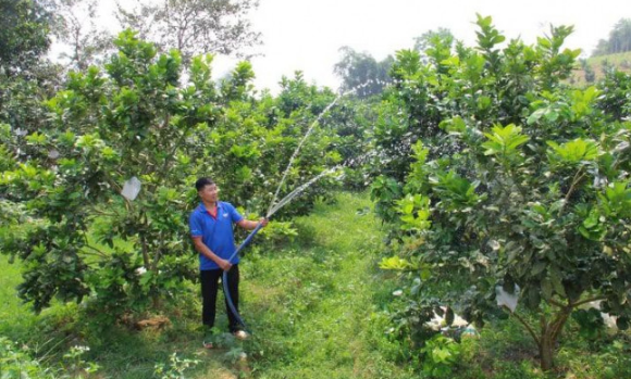 Chàng trai 9X biến mảnh đất hoang thành trang trại trăm triệu