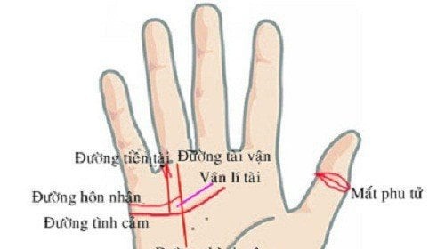 Bàn tay có 3 điểm này chủ nhân làm gì cũng gặp may mắn