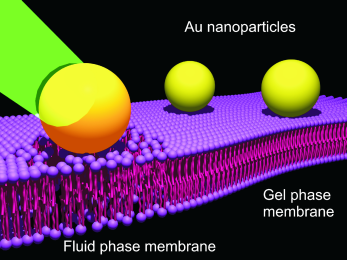 Chống ung thư bằng hạt nano