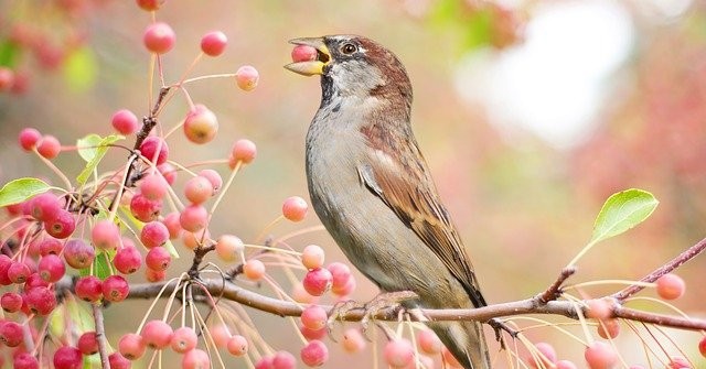 Đầu tháng 9 Âm lịch, 4 con giáp tiền tiêu rủng rỉnh