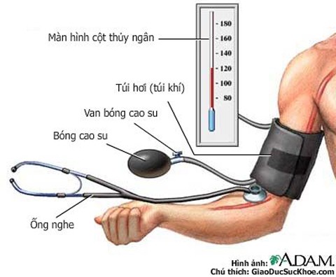 Nguyên do gây huyết áp lúc tăng lúc giảm 