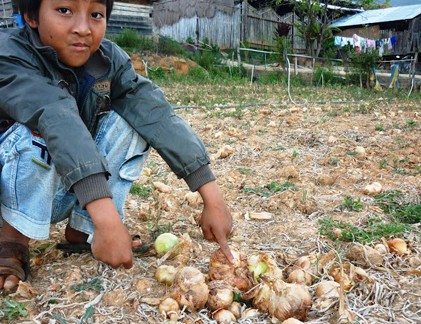 Không tự vệ trước Trung Quốc, chúng ta tự làm khó mình