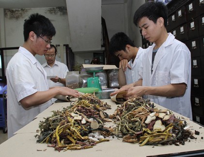 Vận dụng ngũ vị chữa bệnh