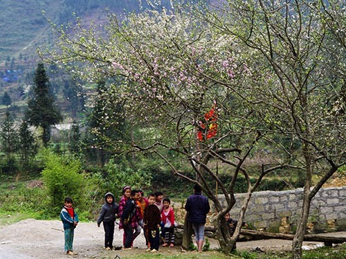 Tour  du lịch độc, lạ dịp Tết