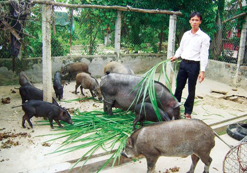 "Bão” thực phẩm bẩn "bủa vây" trang trại sạch