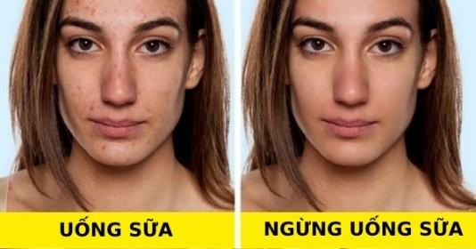 Điều gì xảy ra với cơ thể nếu bạn ngừng uống sữa?