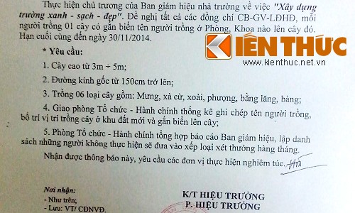 Giảng viên ức phát khóc vì bị ép... trồng cây siêu cổ thụ