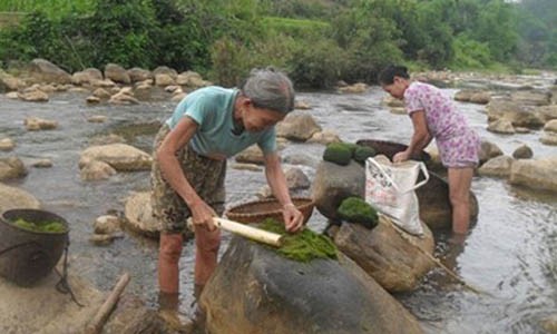 “Thung lũng tiên” và món ăn trường thọ giữa rừng Phú Thọ