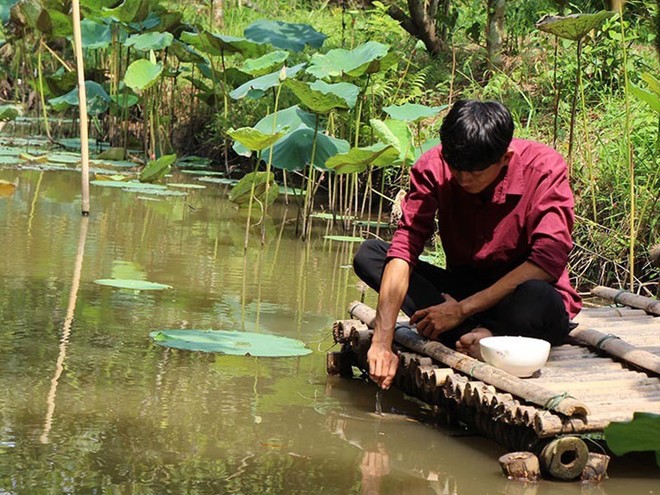 Đút từng thìa cơm cho đàn cá ăn, tiết lộ bí mật từ thời ông truyền lại