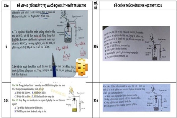 Bộ GD&ĐT đang xem xét trách nhiệm cá nhân liên quan vụ đề thi Sinh học