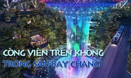 Thán phục công viên khổng lồ “treo” trong sân bay Changi 