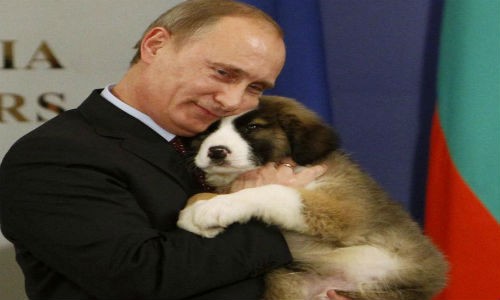 Tổng thống Nga Putin và tình yêu dành cho động vật