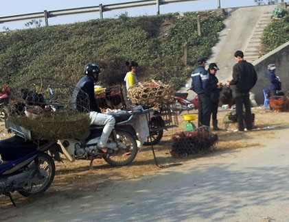 Mối lo “gà đầu trọc” tại chợ Hà Nội