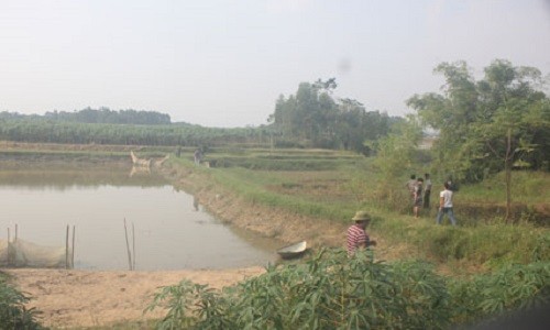 Vĩnh Phúc: Con tìm thấy thi thể cha ở mép bờ ao