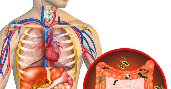 Các dấu hiệu nội tạng đang chứa lượng "rác" quá lớn, cần thanh lọc ngay