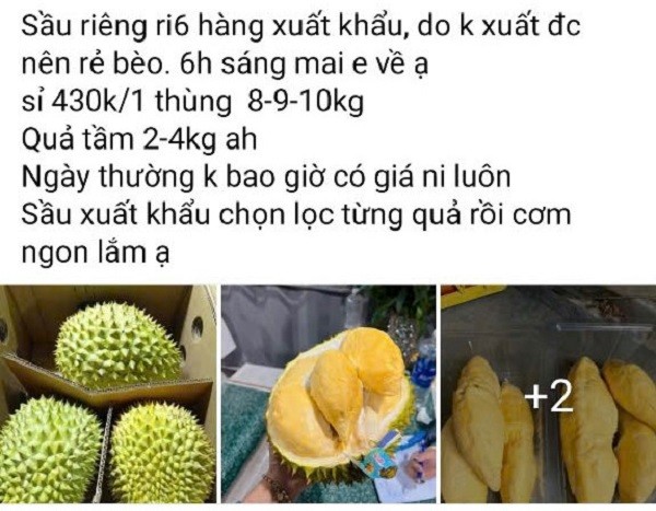 Thực hư việc “giải cứu sầu riêng” giá rẻ 