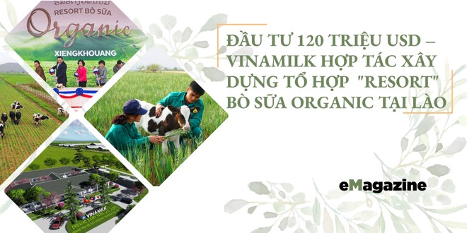 Đầu tư 120 triệu USD - Vinamilk hợp tác xây dựng tổ hợp “resort” bò sữa Organic tại Lào