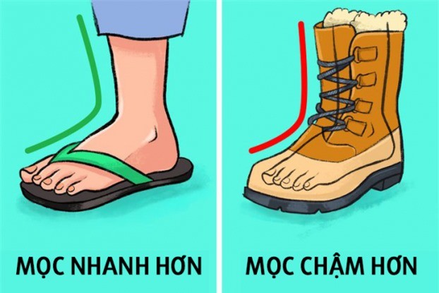 Vì sao móng tay mọc dài nhanh hơn móng chân?