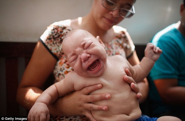 Virus Zika ăn não có thể lây qua tình dục đường miệng 