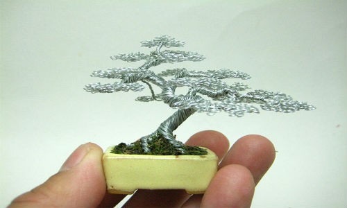 Video: Tròn mắt xem tạo Bonsai mini bằng dây kẽm cực độc