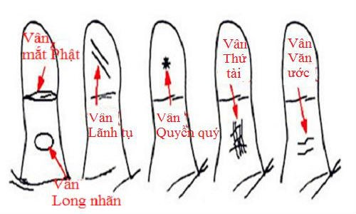 Video: Bạn có “vân mắt phật” trên ngón tay cái, cả đời hưởng trọn vẹn phú quý