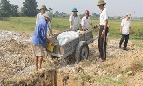 Nghệ An công bố dịch heo tai xanh, hủy 10 tấn thịt