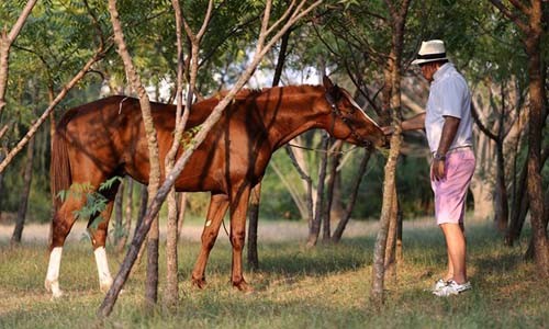 Những thú chơi xa xỉ ít ai biết của doanh nhân Khaisilk